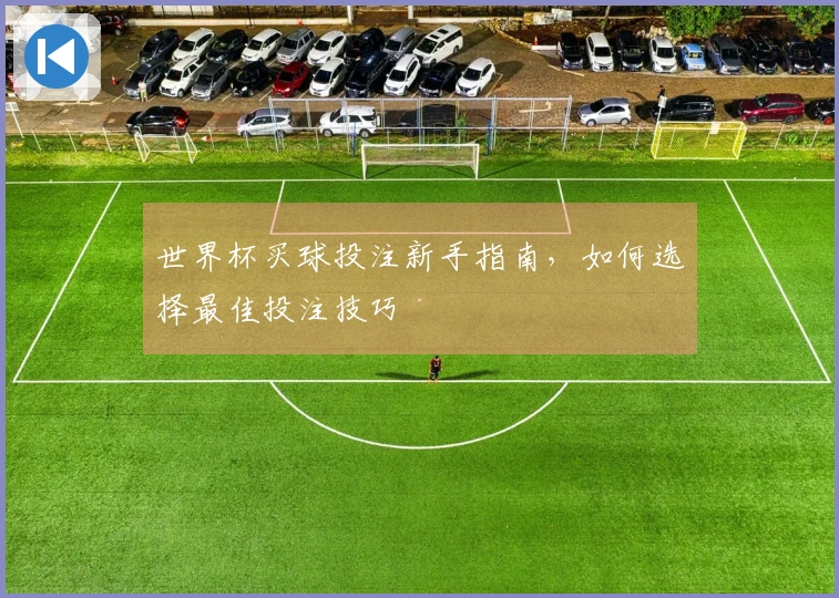 世界杯买球投注新手指南，如何选择最佳投注技巧