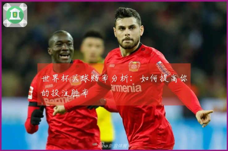 世界杯买球赔率分析：如何提高你的投注胜率