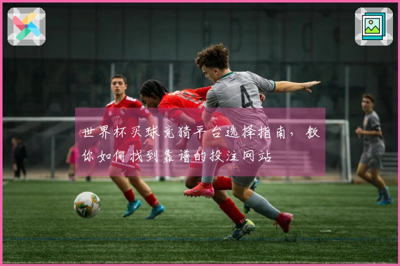 世界杯买球竞猜平台选择指南，教你如何找到靠谱的投注网站