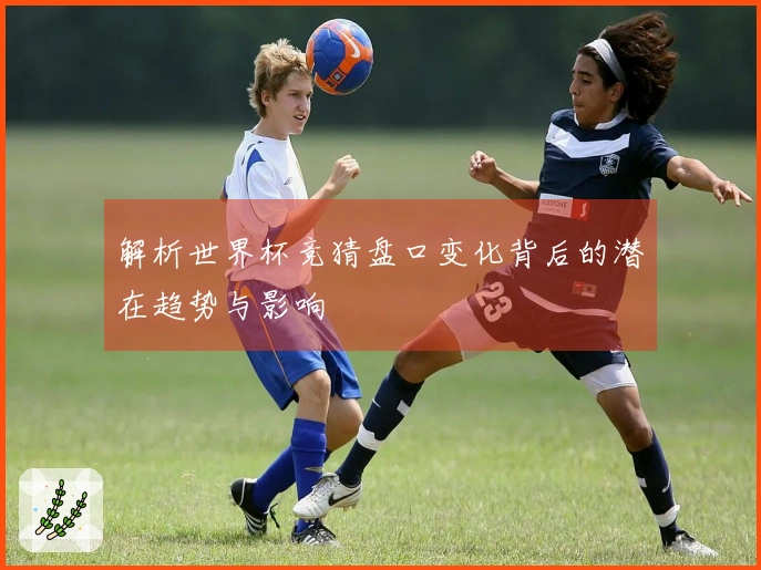 解析世界杯竞猜盘口变化背后的潜在趋势与影响