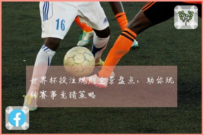 世界杯投注规则全景盘点，助你玩转赛事竞猜策略