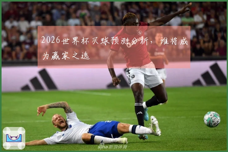 2026世界杯买球预测分析，谁将成为赢家之选