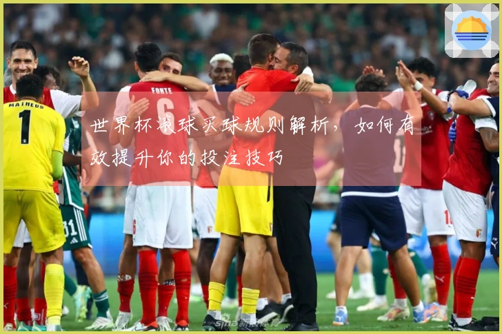世界杯滚球买球规则解析，如何有效提升你的投注技巧