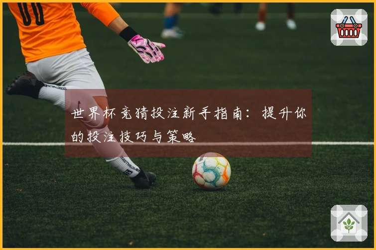 世界杯竞猜投注新手指南：提升你的投注技巧与策略