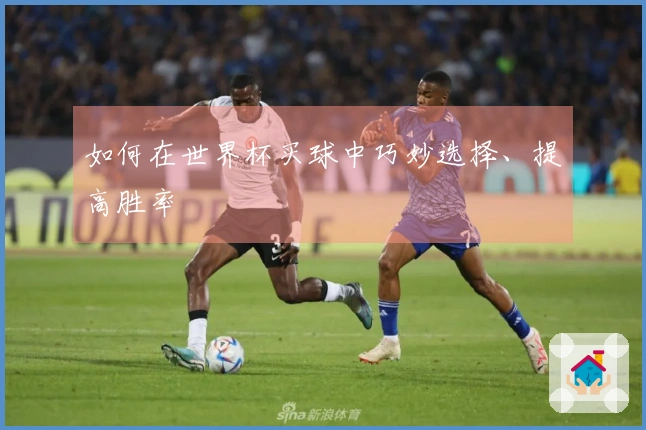 如何在世界杯买球中巧妙选择、提高胜率
